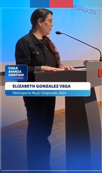 Imagen de portada de Escuela Mujer Emprende @sernamegchile 2024