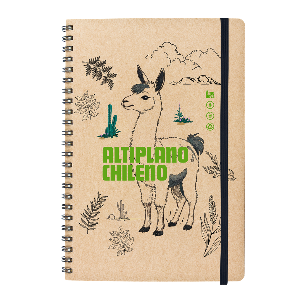 Cuaderno Identidad Regional "Raíces del Norte"
